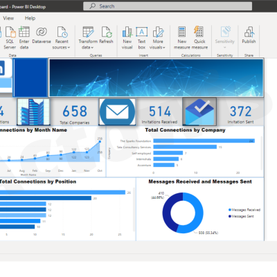 PowerBI Portfolio